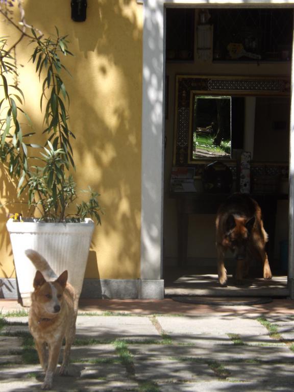 Mirano Bed&breakfast Piossasco